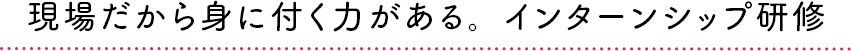 現場だから身に付く力がある。インターンシップ研修