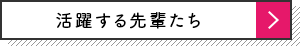 活躍する先輩たち