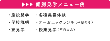 個別見学メニュー例